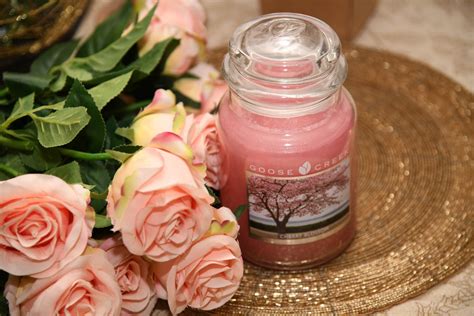 Ароматическая свеча в банке GOOSE CREEK Cherry Blossom | отзывы