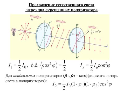 Поляризация света