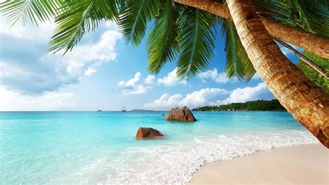 Horizon Rocks Indian Ocean Clouds Trees Waves Seychelles Sea