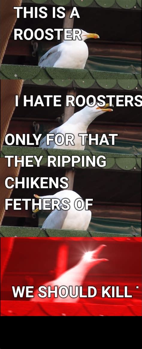 Fuck Rooster R Killroosters