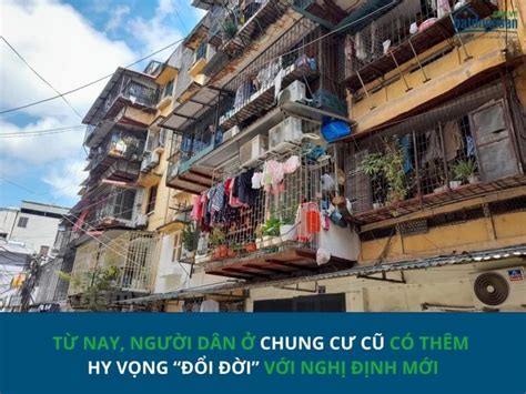 Hot girl Sam Có nên nuôi thú cưng ở chung cư căn hộ Tư vấn Chợ Đất