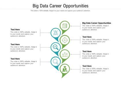 Big Data Career Opportunities Powerpoint Presentation And Slides Ppt