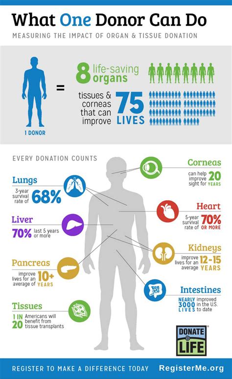 Myths of Tissue and Organ Donation | Health + Wellness | Cheshire ...