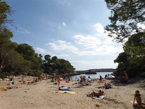 Discover Cala Barca A Fine Sand Beach In Mallorca