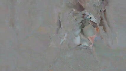 Tarzan S Hardcore Anal Conquest