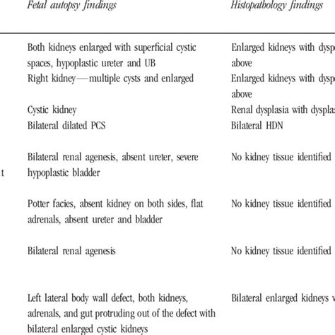 Distended urinary bladder and bilateral ureters in case of posterior... | Download Scientific ...