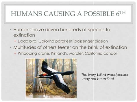 Ppt Biodiversity Loss Powerpoint Presentation Free Download Id1957256