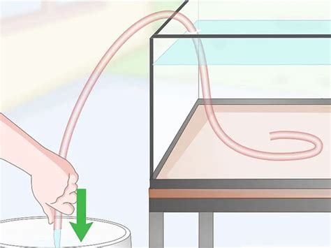 How To Siphon Water With A Hose