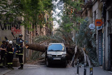 La Sindicatura De Greuges De Barcelona Abre Una Actuaci N Por La