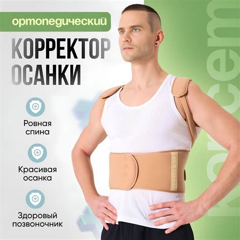 Корректор осанки ортопедический, реклинатор, корсет для спины и ...