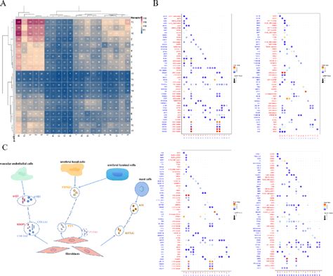 Cell communication analysis revealed the ligand receptor interaction... | Download Scientific ...