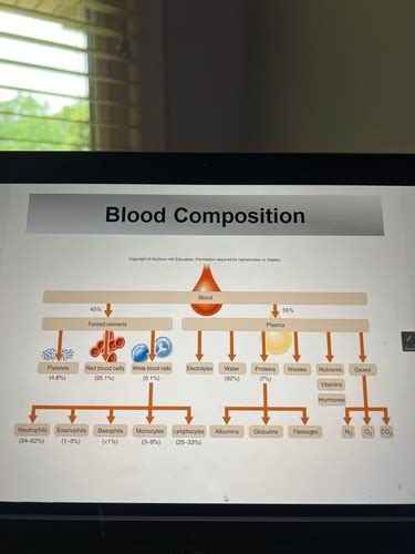 Bio Study Guide Chapter Blood Flashcards Quizlet