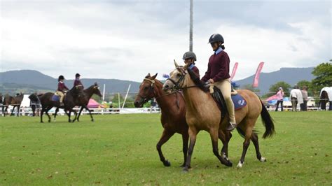 Horse events at Milton Show attract spectators | PHOTOS | Milton ...