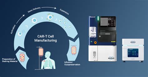 Published In Frontiers In Molecular Medicine Revolutionizing CAR T