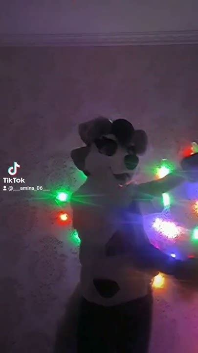 хе :3 #фурри #сьют #фурсьют #фурсьютер - YouTube