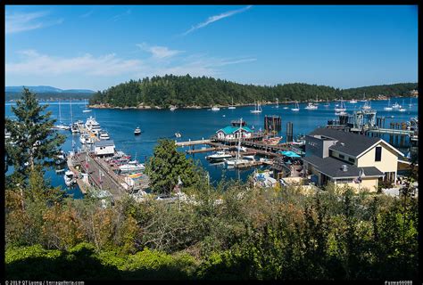 » The San Juan Islands: San Juan Island - from QT Luong's Blog