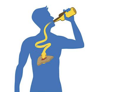 Effecten Van Alcohol Gezondheid Alcoholinfo Nl