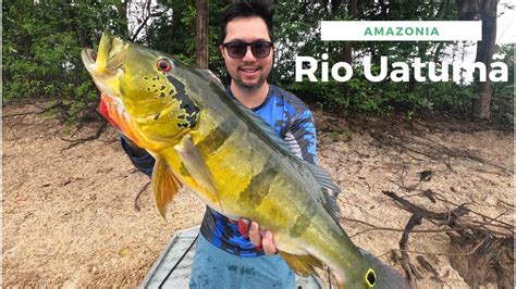 Pesca no Rio Uatumã Lugar de peixe grande YouTube