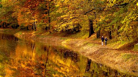 Nj Fall Foliage Map 2022 Leaf Peeping Could Begin Oct 17