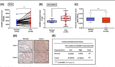 Figure From The Adam Wisp Axis Cooperates With Osteoblasts To