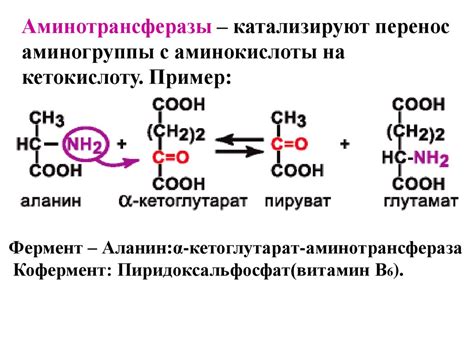 Ферменты (Энзимы) - презентация онлайн