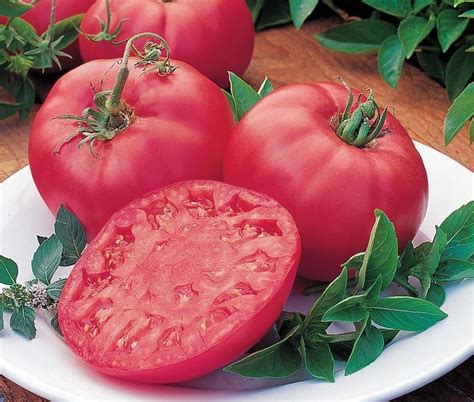 Томат Розовый мясистый: характеристика и описание сорта, отзывы, фото ...