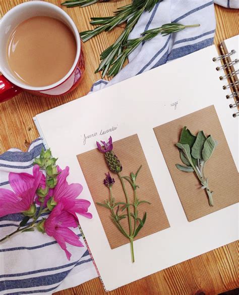 Pressed Flower Journal Plant Journal Garden Journal Nature Journal