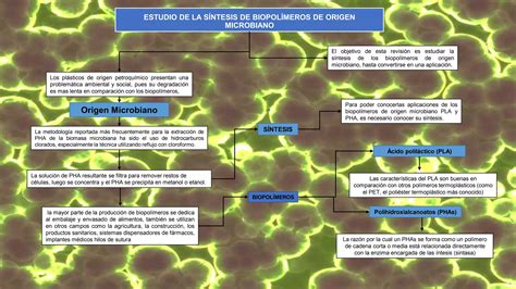 Estudio De La S Ntesis De Biopol Meros De Origen Microbiano Luis Garcia