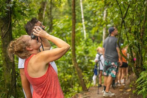 Rio Celeste Waterfall Sloth Sanctuary Private Day Trip From Guanacaste