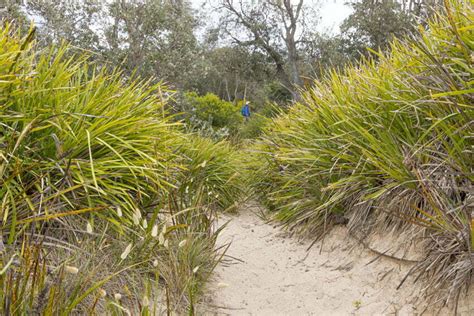 Pambula Beach Caravan Park – Merimbula Beach – “Merimbula Beach” Trail ...