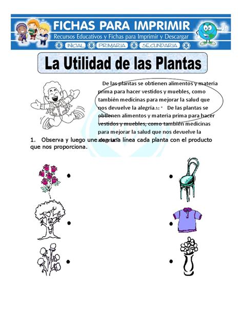 Ficha De Utilidad De Las Plantas Para Primaria Doc