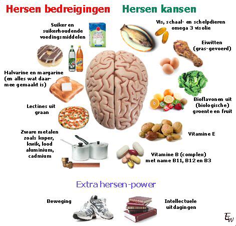 Gezonde Voeding Biologie Voedsel En Vertering