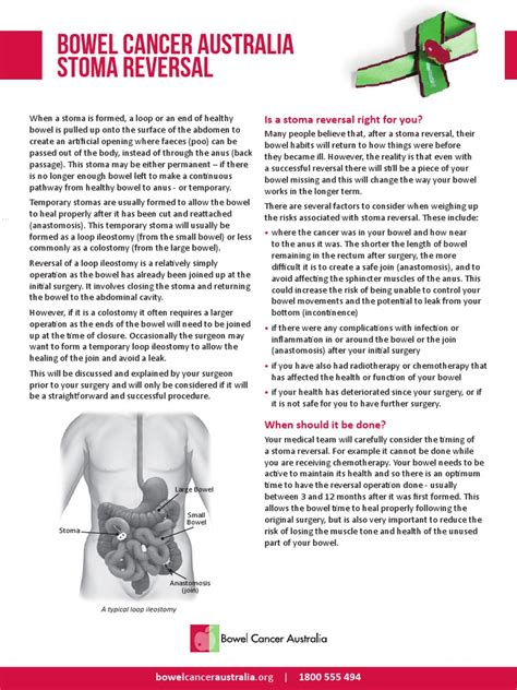 Bowel Cancer Australia Stoma Reversal Factsheet Final Pdf