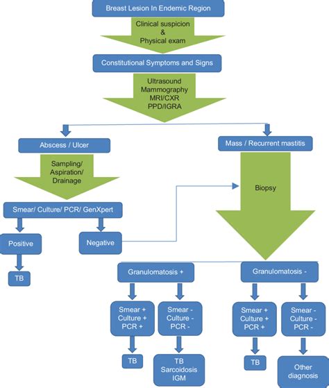 An Algorithmic Approach For Diagnosis Of Breast Tuberculosis TB