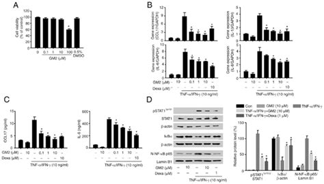 GM2 Inhibits Inflammatory Mediators And The Inflammatory Signaling