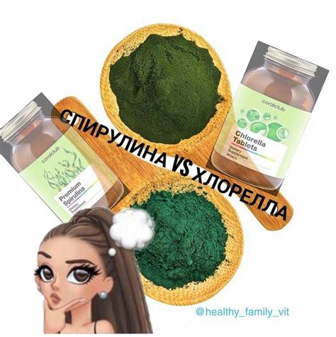 Спируллина