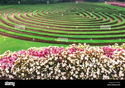 Maze garden maze flowers hi-res stock photography and images - Alamy