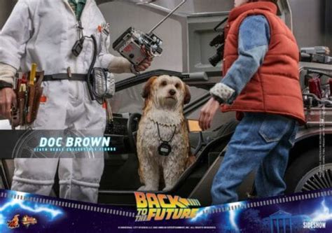 Hot Toys Back To The Future Doc Brown Standard Ver MMS Scale Action Figure Sugo Toys