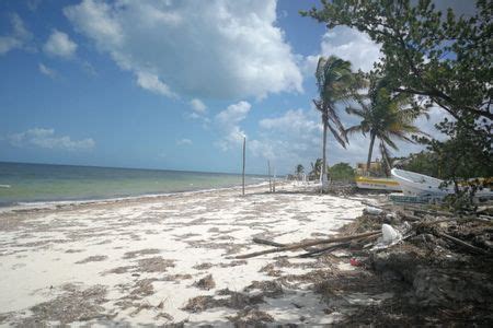 Terreno M Frente Al Mar En Playa Santa Clara Yucatan Easybroker