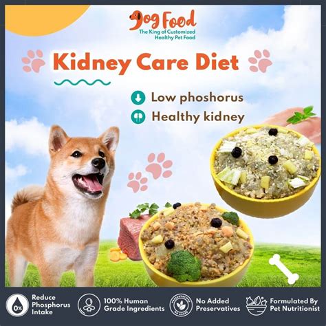 Kidney Care Dog Food (Renal Support) - 10 Days Plan (One Time Purchase ...