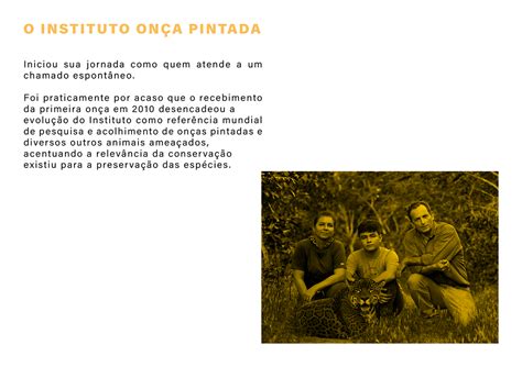 Identidade Visual Instituto On A Pintada On Behance