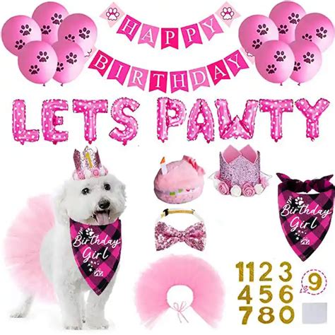 Dog Birthday Party Supplies Birthday Hat Bandana Scarf With Cute Dog ...