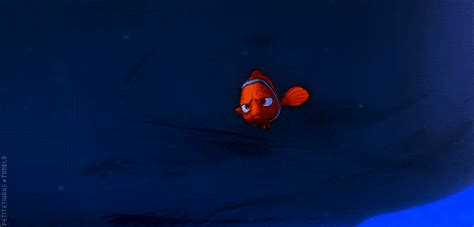 little mermaid finding nemo gif | WiffleGif