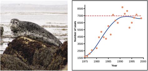 Exponential Growth And Logistic Growth Article Khan Academy