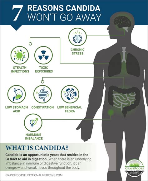 7 Reasons Candida Wont Go Away Grassroots Functional Medicine