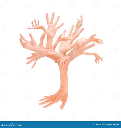 Hands Tree Stock Photo Image 9622670