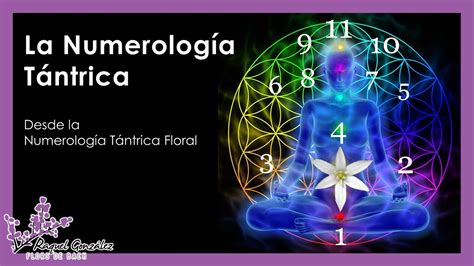 La Numerologia T Ntrica Desde La Numerolog A T Ntrica Floral V Deo