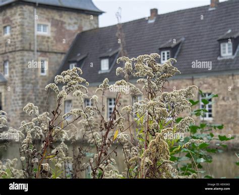 the Castle of lembeck Stock Photo - Alamy