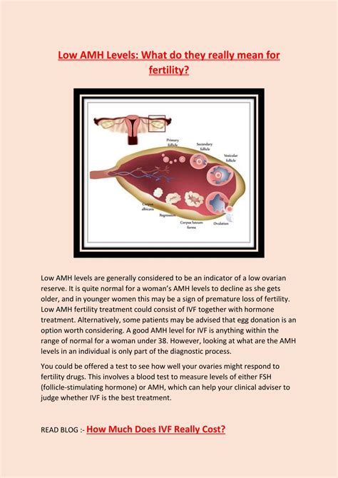 PPT Low AMH Levels What Do They Really Mean For Fertility PowerPoint