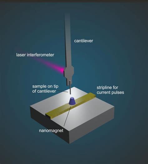 Basic Principles Of Magnetic R Image Eurekalert Science News Releases